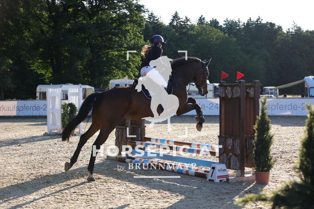 0P6A6693 | Willkommen bei Brunnmayr - Design & Fotografie – Ihrem Spezialisten für Reitturniere und Pferdeveranstaltungen in Oberösterreich, Salzburg und Bayern! Seit über 17 Jahren sind wir leidenschaftlich dabei.