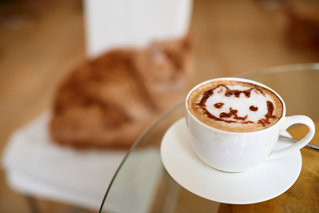 Cafe Neko | Wien, Austria - October 05, 2017: Cafe Neko-Katzencafe, Melange mit Katzengesicht, im Hintergrund eine rothaarige Katze. - Realisiert mit Pictrs.com