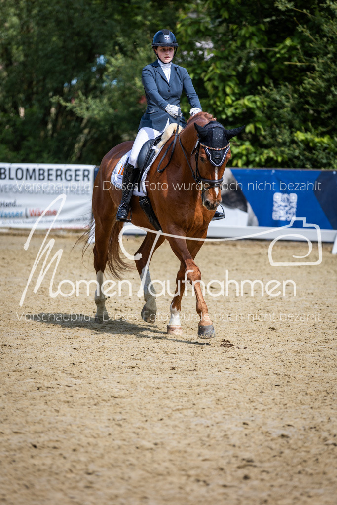 Donop24-L-Dre-016 | MomenTaufnahmen Pferdesportfotos