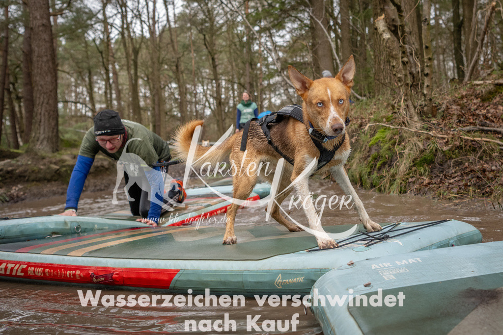 1054_ZZ94934 | kk-dogfotos