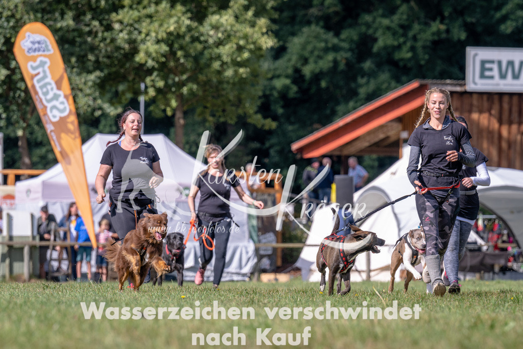 1130_ZZ90365 | kk-dogfotos