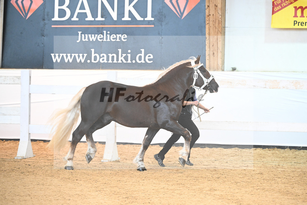 Kat-Nr. 11 v. Dirino_Bauer_6240100 | hf-fotografie - Realisiert mit Pictrs.com