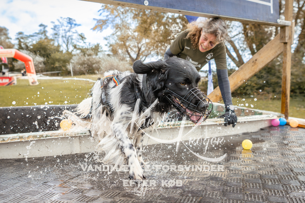 1345_ZZ92074-2 | kk-dogfotos