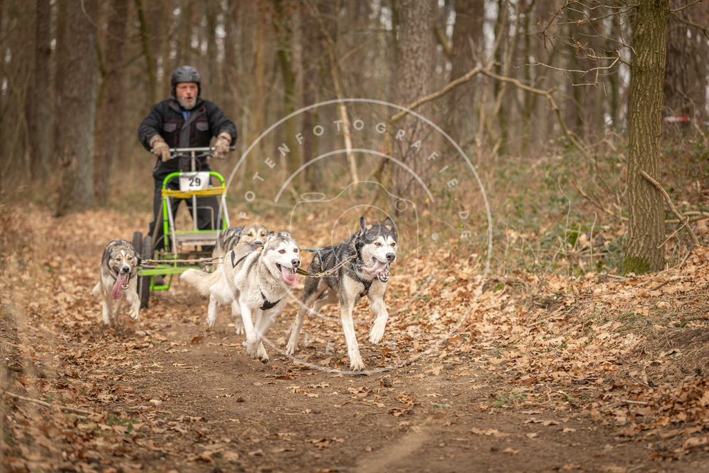 Pfotenfotografie_DV3A8879 | Hundefotografie, Tierfotograf, Pfotenfotografie, Fotoshooting Hund, Hunde Portrait, Hundesport, Hundeportraits, Heideshooting, Hunde, Sportfotograf, Hundefotograf, Turnierhundsport, THS,  - Realisiert mit Pictrs.com