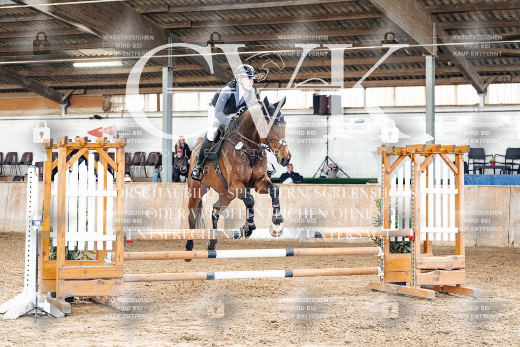 CK904645 | Turnierfotografie Pferdefotografie Trier Rheinland-Pfalz Pferdesport Reitsport Tierfotografie Sportfotografie Pferdevideo Pferdevideografie Equestrianvideography equestrianphotography  - Realisiert mit Pictrs.com