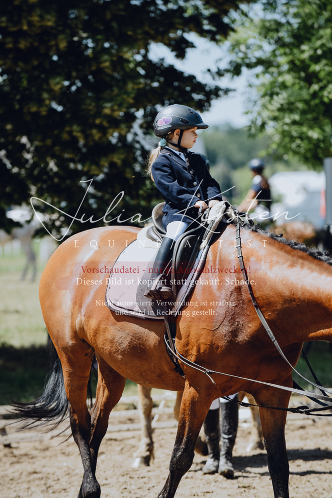 DSC_2559 | Pferde- und Turnierfotografie in Westsachsen. Pferdeportraits, Auftragszeichnungen und intuitive Kunst.