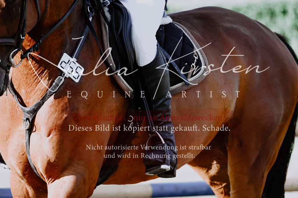 DSC_7409 | Pferde- und Turnierfotografie in Westsachsen. Pferdeportraits, Auftragszeichnungen und intuitive Kunst.