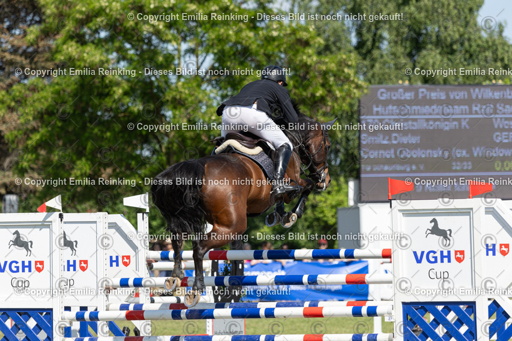 CL5A0630 | Emilia Reinking Fotografie - Realisiert mit Pictrs.com