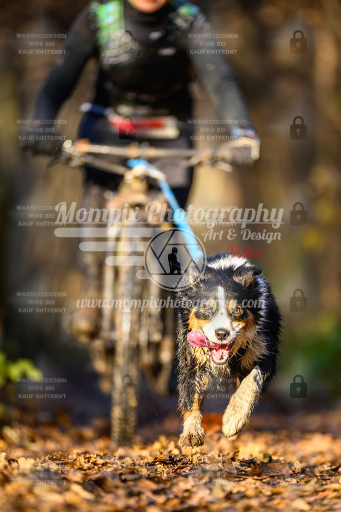 MompixPhotography_Eschau2024_Bike-31 | PayLife