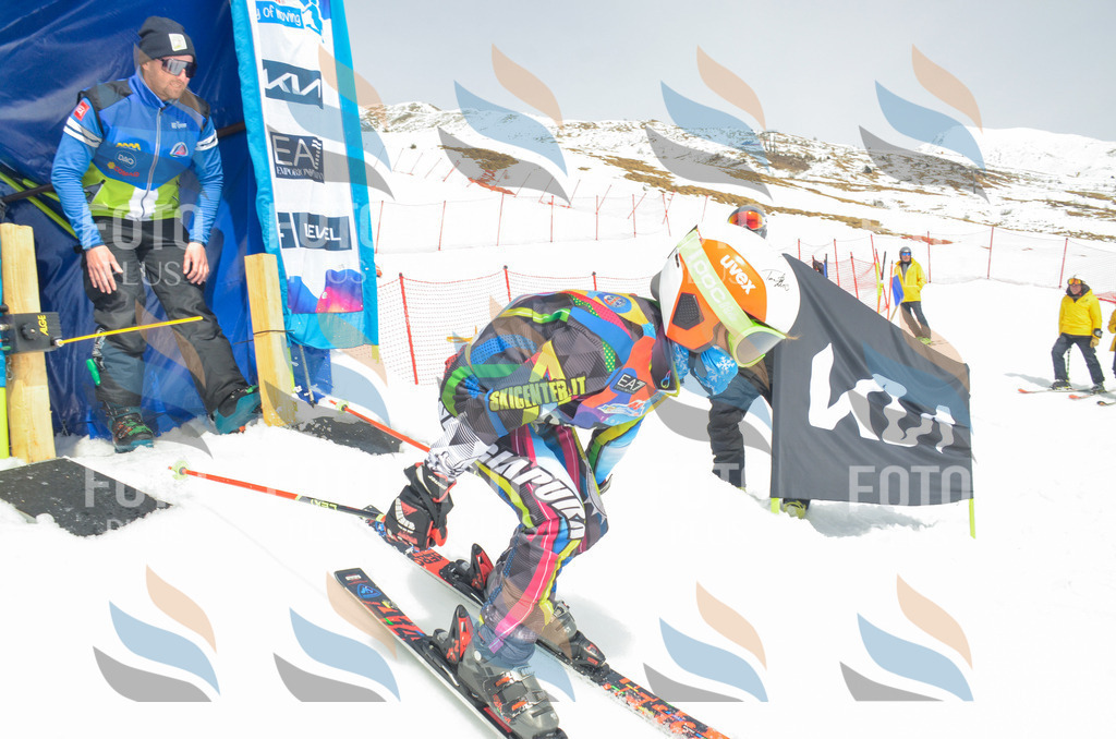 _ELE8235 | holidayphoto