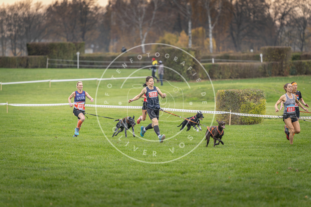 CaniXpix_DV3A6590 | Hundefotografie, Tierfotograf, Pfotenfotografie, Fotoshooting Hund, Hunde Portrait, Hundesport, Hundeportraits, Heideshooting, Hunde, Sportfotograf, Hundefotograf, Turnierhundsport, THS,  - Realisiert mit Pictrs.com