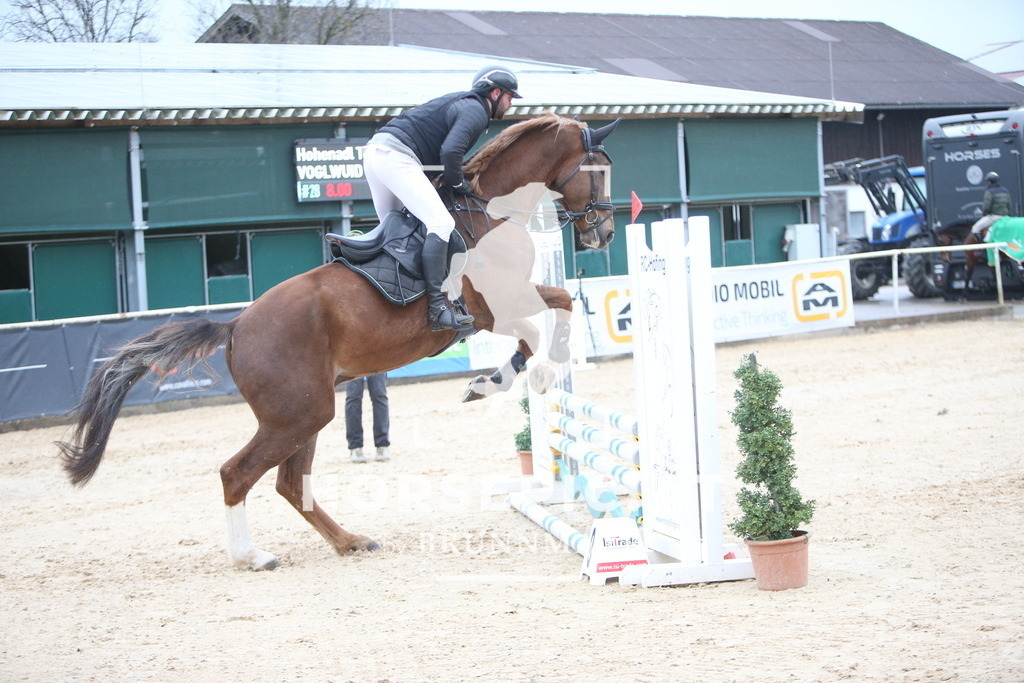 AS8V0917 | Willkommen bei Brunnmayr - Design & Fotografie – Ihrem Spezialisten für Reitturniere und Pferdeveranstaltungen in Oberösterreich, Salzburg und Bayern! Seit über 17 Jahren sind wir leidenschaftlich dabei.