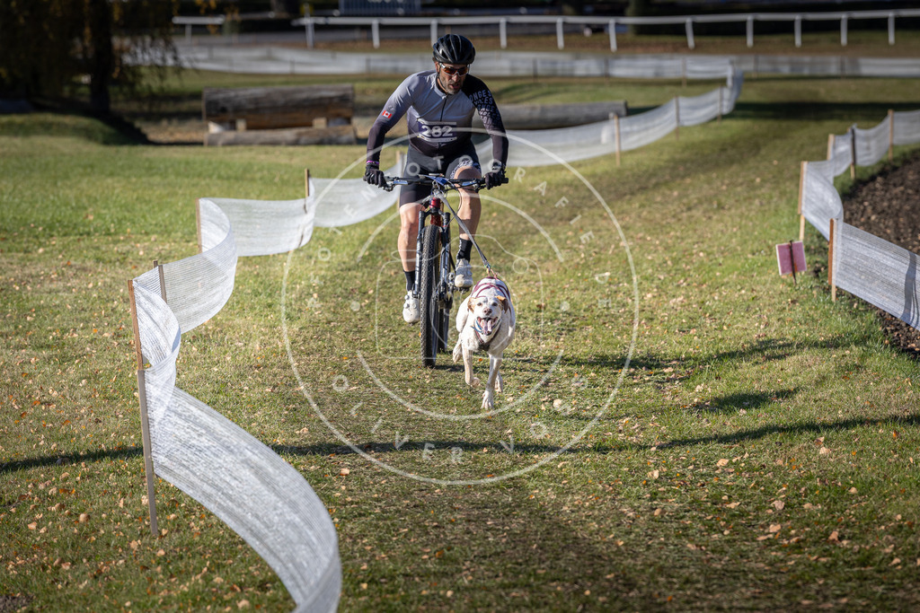 CaniXpix_DV3A5546 | Hundefotografie, Tierfotograf, Pfotenfotografie, Fotoshooting Hund, Hunde Portrait, Hundesport, Hundeportraits, Heideshooting, Hunde, Sportfotograf, Hundefotograf, Turnierhundsport, THS,  - Realisiert mit Pictrs.com