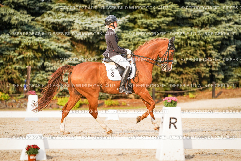 DSC09413 | Pferdegrafie