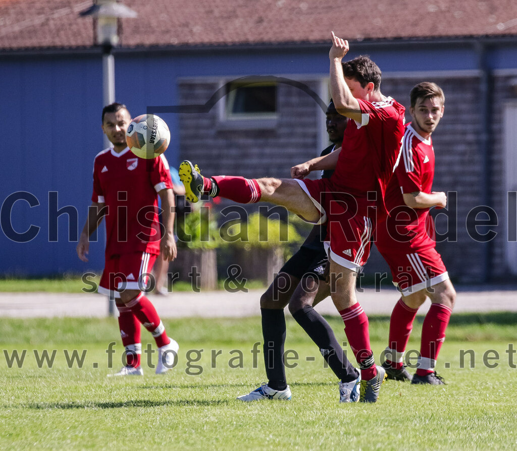 2023-09-02_024_SG_Markt_Schwaben_II_gegen_SV_Internationale_Taufkirchen_II | Markt Schwaben, Deutschland, 02.09.2023:
Fußball, C-Klasse 2023 / 2024, 3. Spieltag, (SG) Markt Schwaben II gegen SV Internationale Taufkirchen II, Endergebnis: 6:2

Cheick Fofana (SV Internationale Taufkirchen, #8), Lukas Aschenbrenner (SG Markt Schwaben, #10)

Foto: Christian Riedel / fotografie-riedel.net