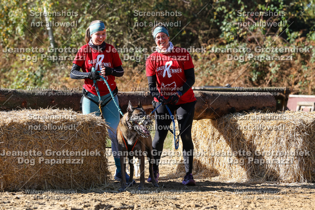 Dog Paparazzi - Strongdog 10-25-2787 | Dog Paparazzi Jeanette Grottendiek Fotografie & Videografie - Realisiert mit Pictrs.com
