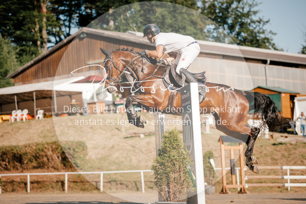 3I6A6051 | Stimmungsvolle Portraits und Reitsportfotografie im Ruhrgebiet und im Münsterland.

Pferdefotografie, Hundefotografie, Tierfotografie, Reportagen, Portraits von Tier und Mensch, Turnierfotografie in Bochum, Recklinghausen, Marl, Haltern am See, Dülmen.. - Realisiert mit Pictrs.com