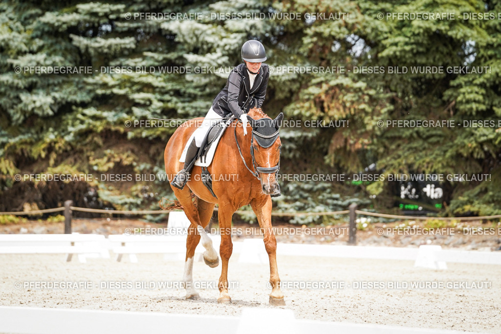 DSC04034 | Pferdegrafie