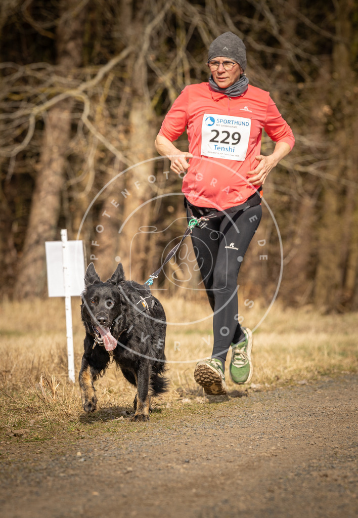 DV3A5477 | Hundefotografie, Tierfotograf, Pfotenfotografie, Fotoshooting Hund, Hunde Portrait, Hundesport, Hundeportraits, Heideshooting, Hunde, Sportfotograf, Hundefotograf, Turnierhundsport, THS,  - Realisiert mit Pictrs.com