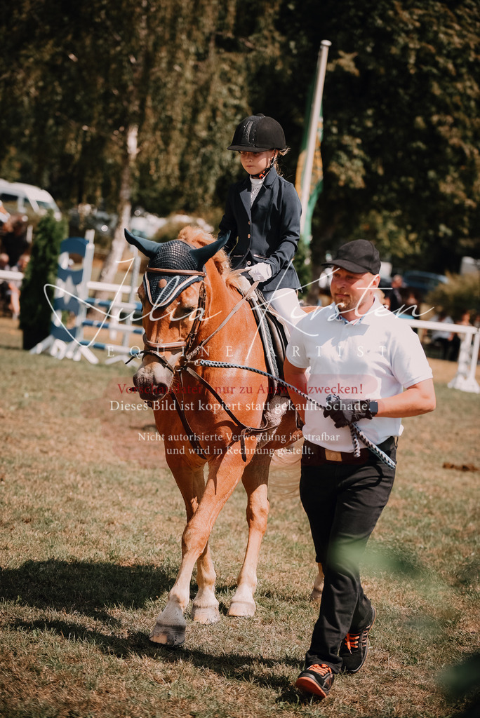 DSC_6209 | Pferde- und Turnierfotografie in Westsachsen. Pferdeportraits, Auftragszeichnungen und intuitive Kunst.