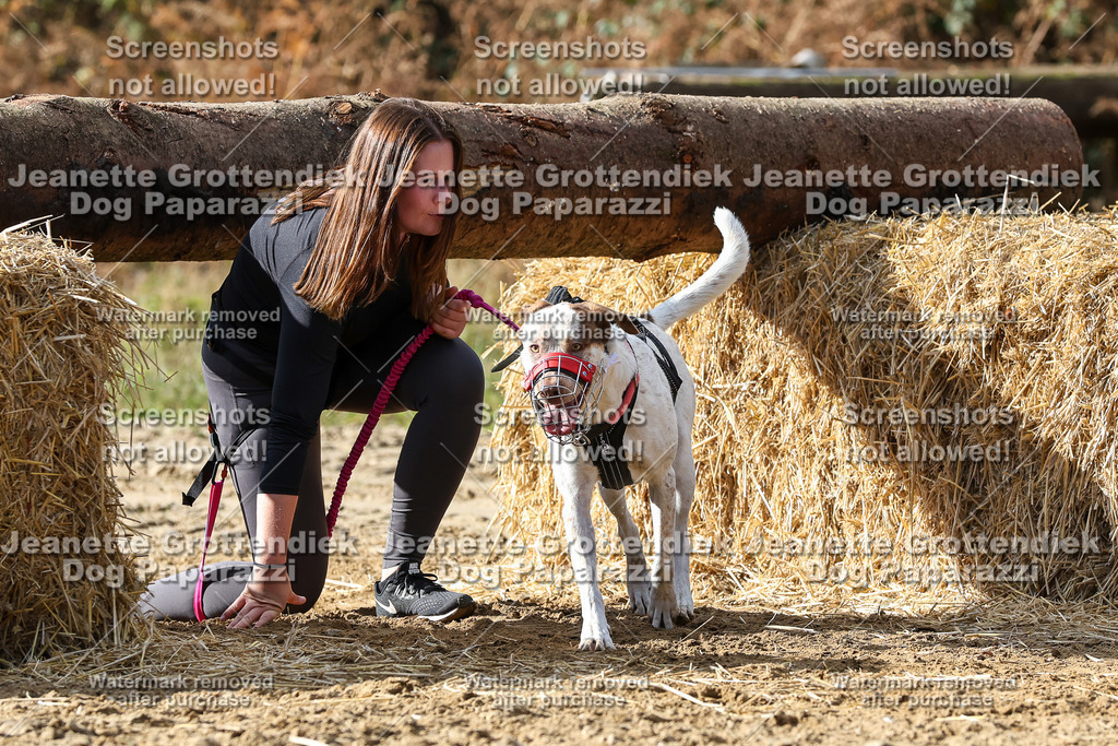 Dog Paparazzi - Strongdog 10-25-5122 | Dog Paparazzi Jeanette Grottendiek Fotografie & Videografie - Realisiert mit Pictrs.com