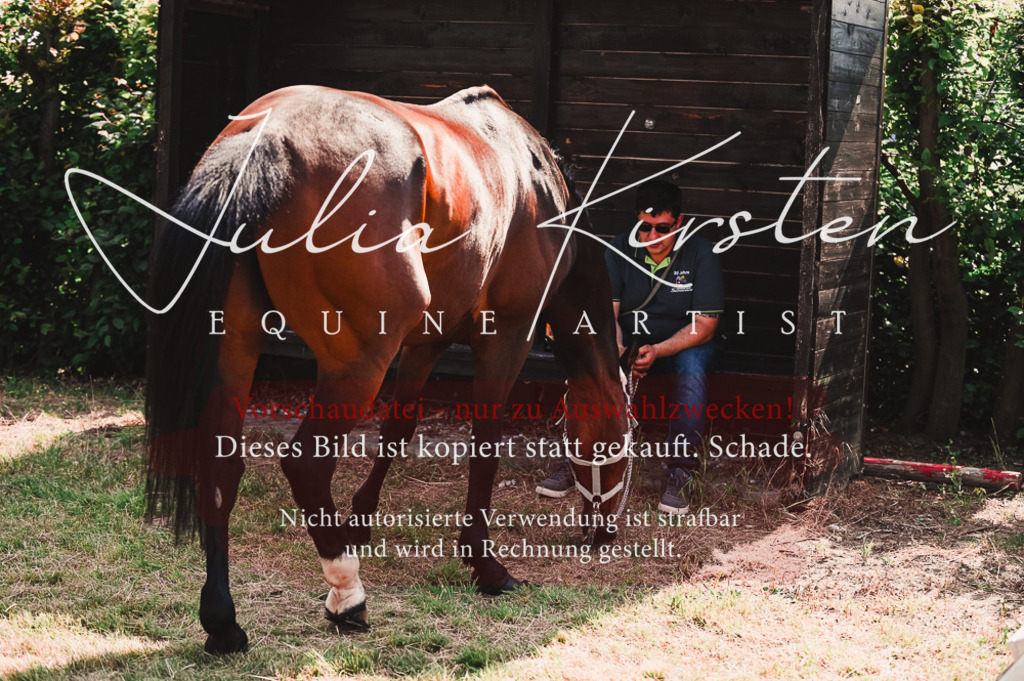 DSC_7304 | Pferde- und Turnierfotografie in Westsachsen. Pferdeportraits, Auftragszeichnungen und intuitive Kunst.