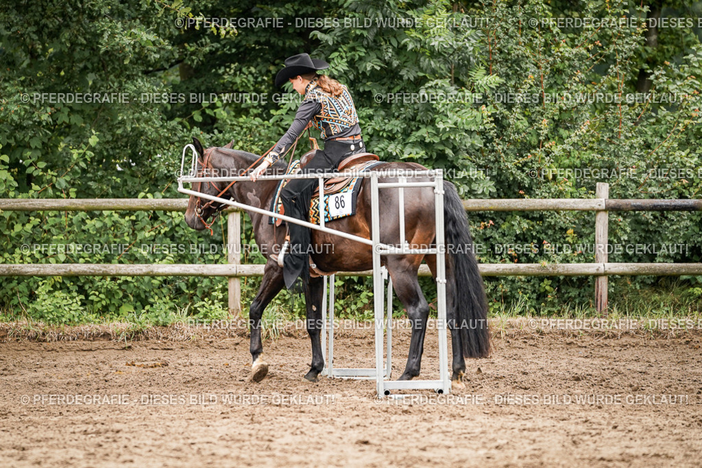 DSC04309 | Pferdegrafie