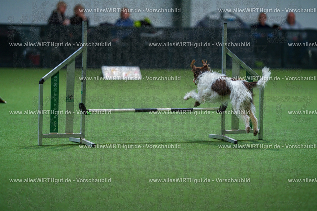 7R502207 | Professionelle Tierfotografie in Mönchengladbach von Daniel Wirth (allesWIRTHgut). Liebevolle & natürliche Bilder von Hunden & Katzen für unvergessliche Erinnerungen.