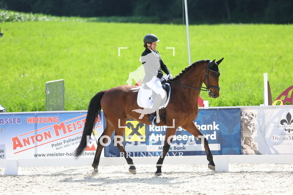 0P6A2393 | Willkommen bei Brunnmayr - Design & Fotografie – Ihrem Spezialisten für Reitturniere und Pferdeveranstaltungen in Oberösterreich, Salzburg und Bayern! Seit über 17 Jahren sind wir leidenschaftlich dabei.