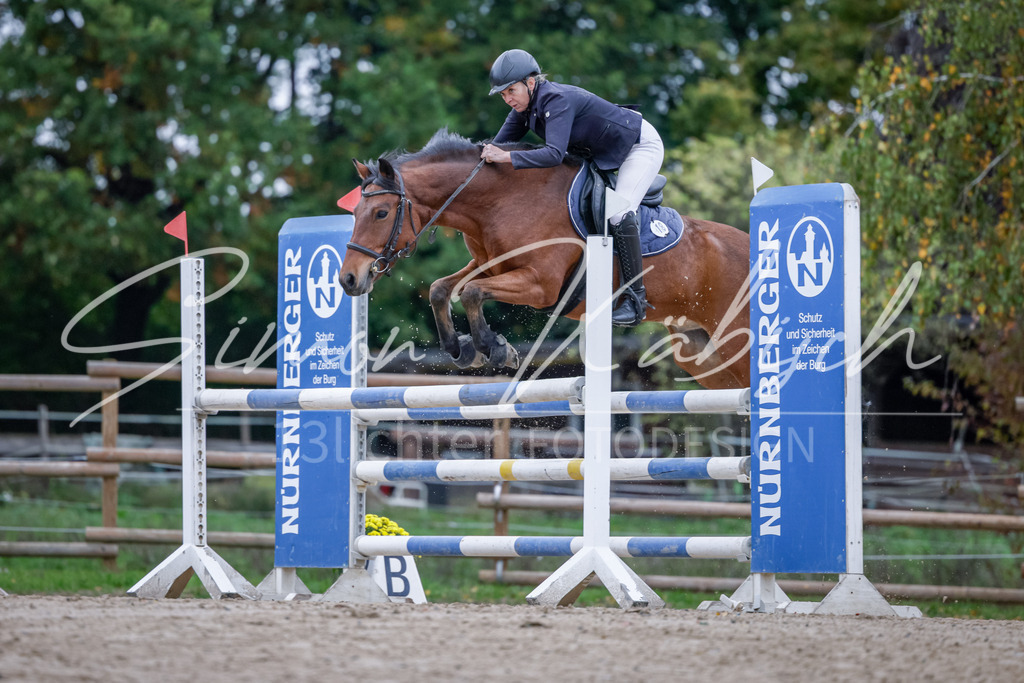 20251012-_3LI4900 | Tierfotografie Pferde, Hunde, Katzen, Haustiere.
Turnierfotografie Reitturniere, Reiten, Springreiten, Dressur in Hanau, dem Main-Kinzig-Kreis und dem Rhein-Main- Gebiet um Frankfurt
