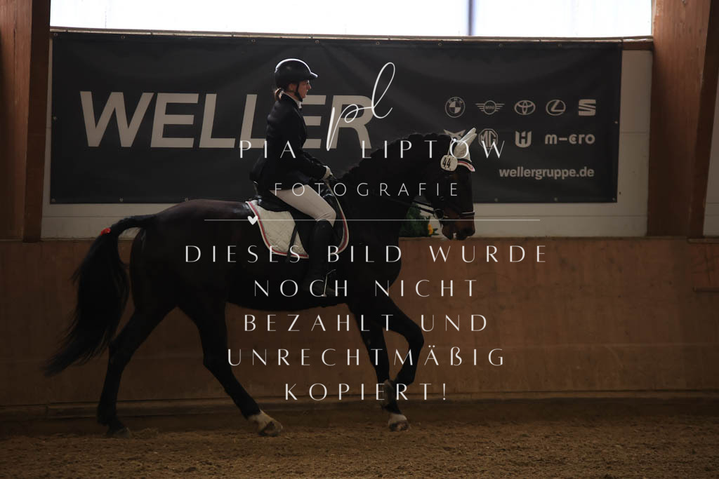 IMGT9949 | pl-fotografie