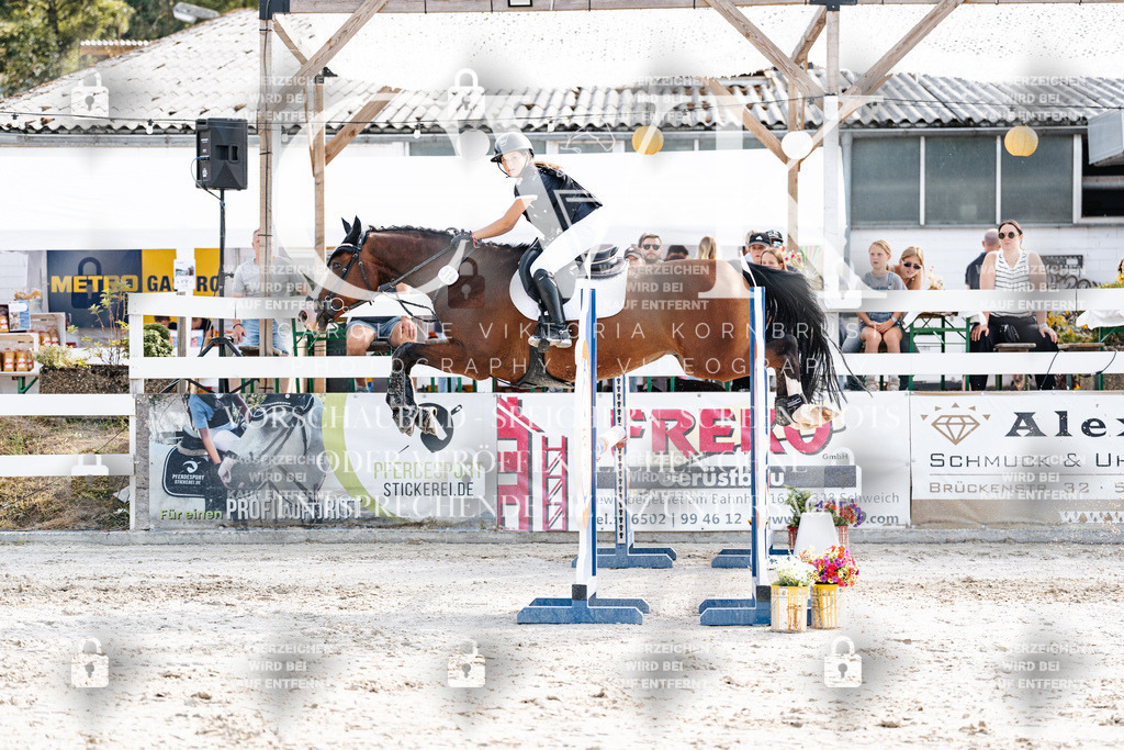 CK905790 | Turnierfotografie Pferdefotografie Trier Rheinland-Pfalz Pferdesport Reitsport Tierfotografie Sportfotografie Pferdevideo Pferdevideografie Equestrianvideography equestrianphotography  - Realisiert mit Pictrs.com