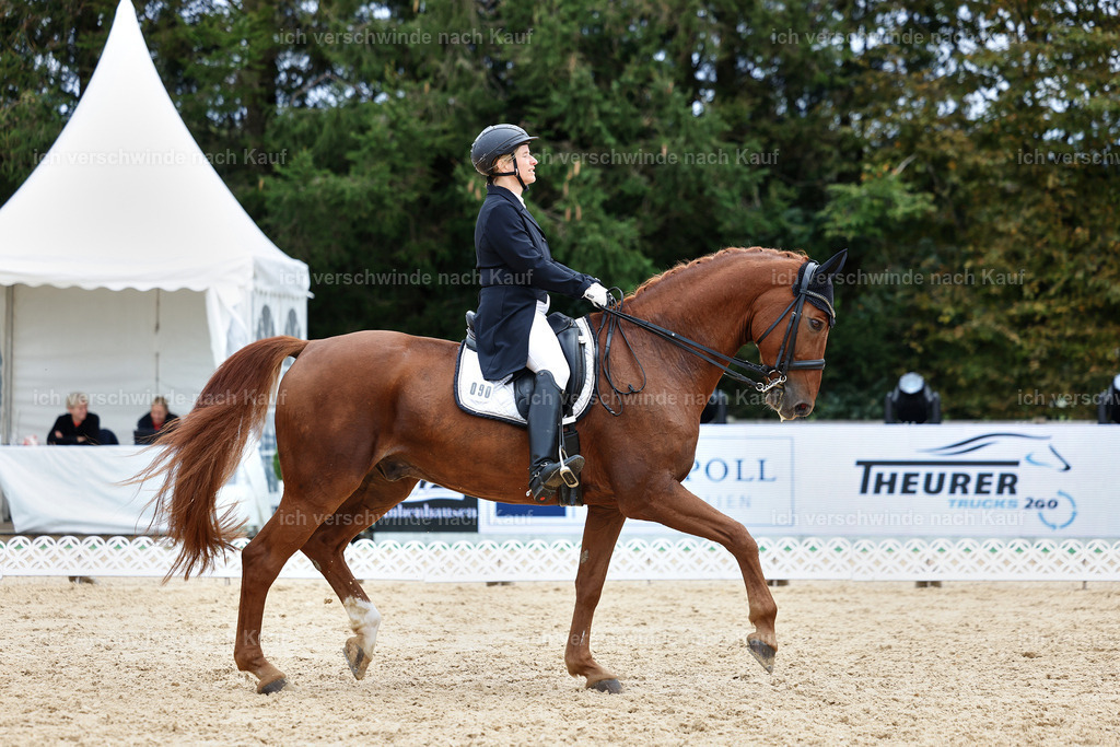 6-090-AMATUER-DRESSUR S_  -StoibPH-3593 | working equitationturnier fotograf videograf stoibphotography marixx film working equitation deutschland reitsport turnierfotografie eventfotografie equestrian events