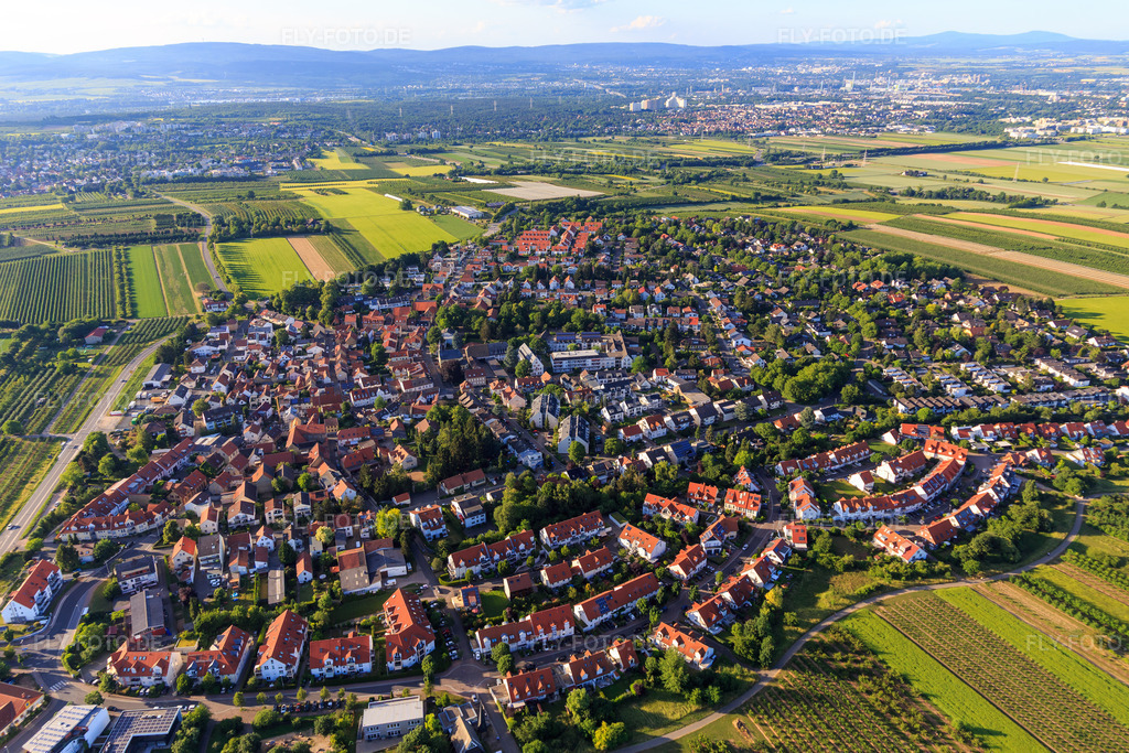 Luftbild: Dorfübersicht aus Süden im Ortsteil Drais in Mainz im Bundesland Rheinland-Pfalz in Deutschland.Foto: IMG_107611.jpg vom 03.06.2018 durch Werner Riehm/FLY-FOTO.de