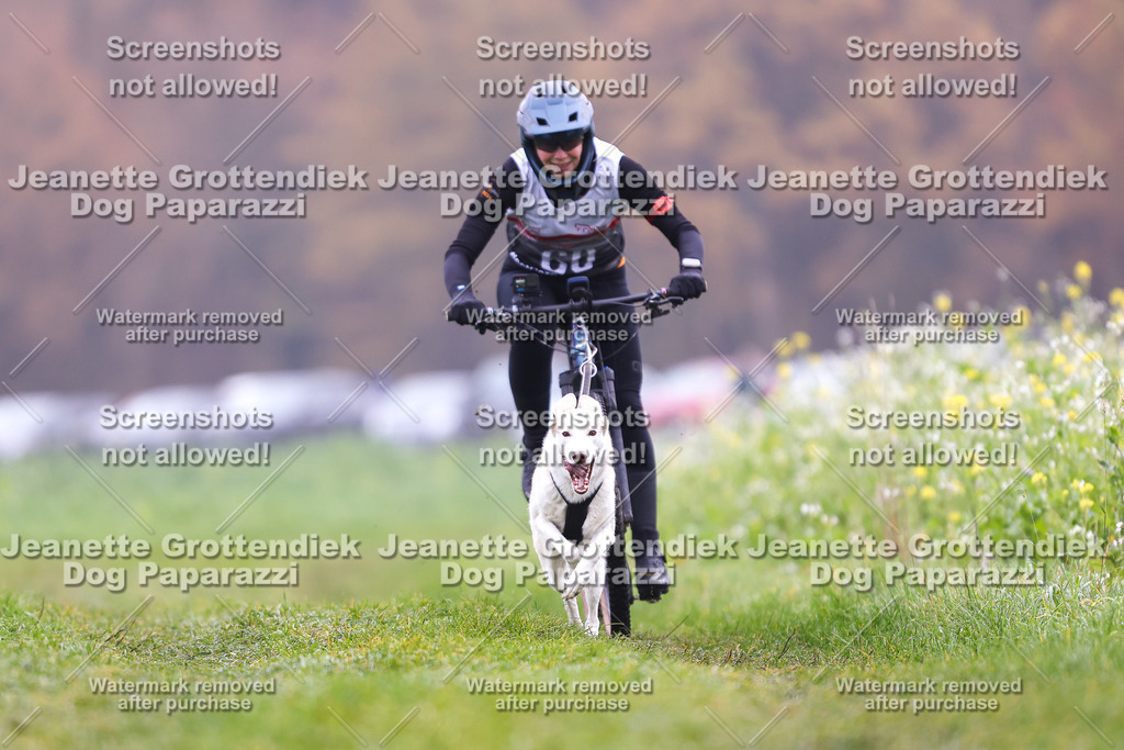 Dog Paparazzi - Visbeck 25 -160 | Dog Paparazzi Jeanette Grottendiek Fotografie & Videografie - Realisiert mit Pictrs.com