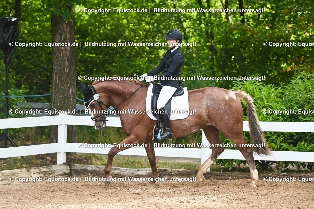 20230716_04_Dressurreiterprüfung Kl.A_0245 | equistock