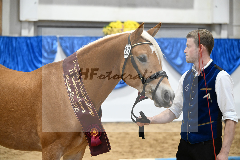 Kat-Nr. 23 Maverick v. Manu_Lechner_48251773 | hf-fotografie - Realisiert mit Pictrs.com