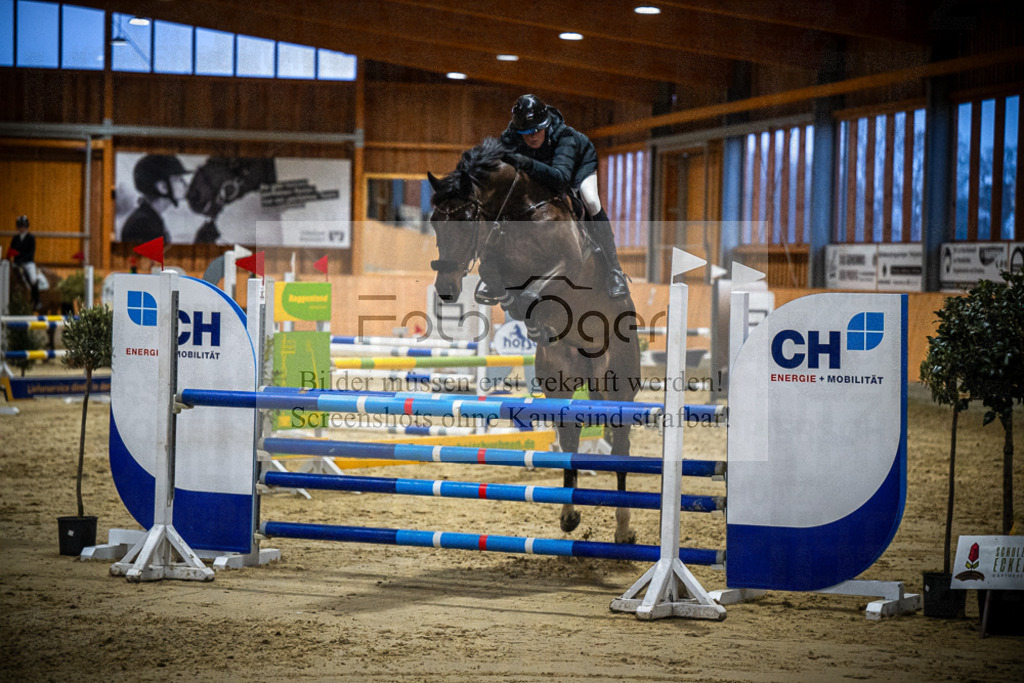 DOS_0559 | Entdecke hochwertige Reitturnierfotos von Foto Oger. Professionell, emotional und authentisch – jetzt Lieblingsmomente im Shop bestellen.Deutschlandweite Turnierfotografie. - Realisiert mit Pictrs.com