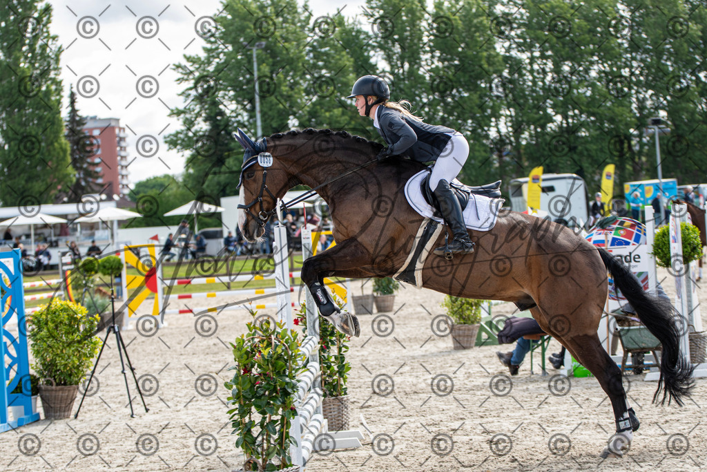 KPT_4784 | andre_photographic