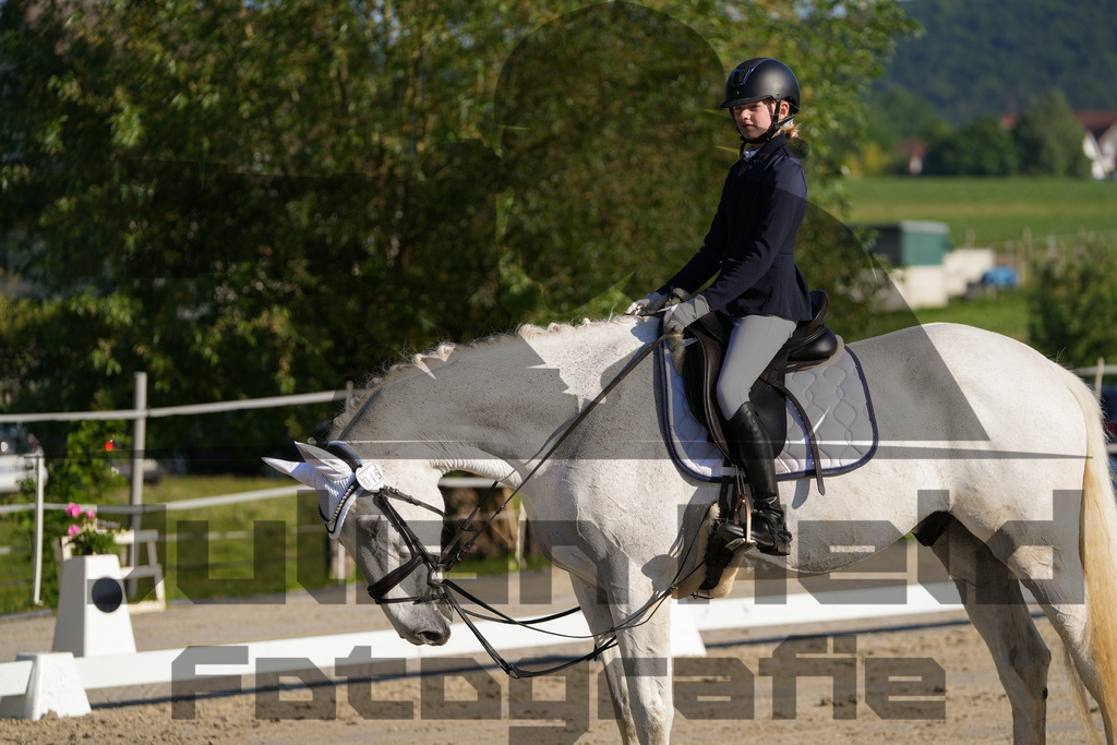 DSC02709 | Julian Held Fotografie - Realisiert mit Pictrs.com