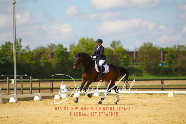 DKP43068 | Turniersportfotografie; Pferdefotografie; Dressurfotografie