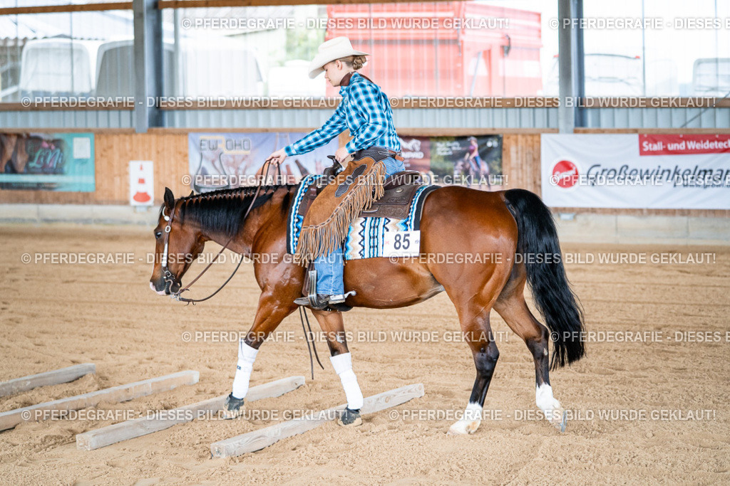 DSC08164 | Pferdegrafie