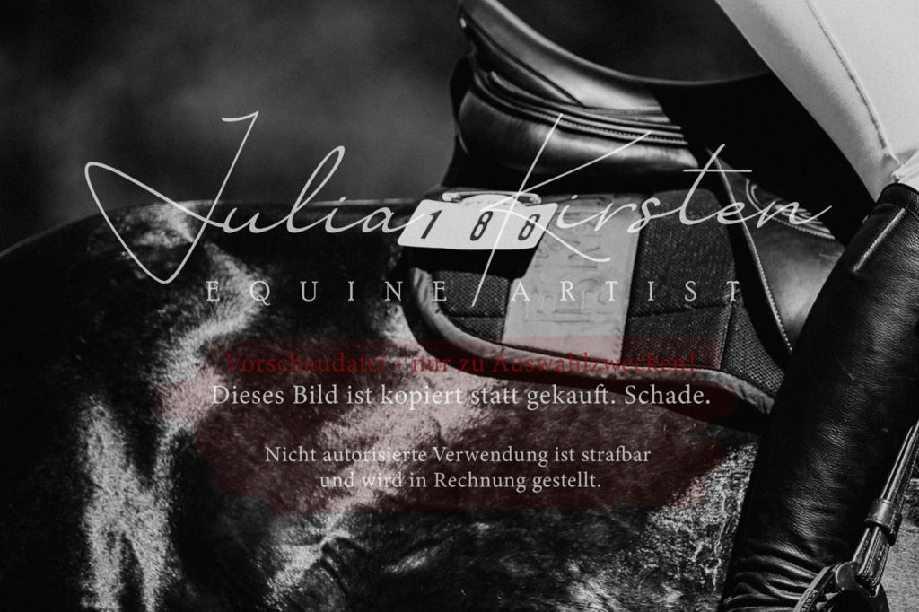 DSC_9865 | Pferde- und Turnierfotografie in Westsachsen. Pferdeportraits, Auftragszeichnungen und intuitive Kunst.