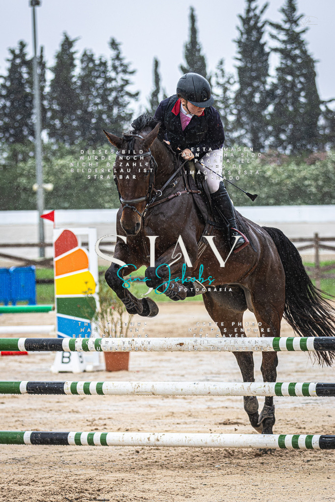 IMG_2016-Verbessert-RR | s-jay-photography - Realisiert mit Pictrs.com