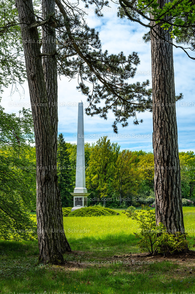 10049-14065 - Landschaftspark Degenershausen | Stockfoto und Bilderpool mit Bildmaterial aus Deutschland, dem Harz, Halberstadt, Quedlinburg, Wernigerode und weltweit. Qualitativ hochwertige und professionelle Fotos anschauen und kaufen. - Realisiert mit Pictrs.com