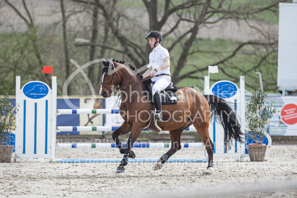 220413_LateEntry_MzH_SprPf-L-104 | Frühlingsfest der Pferde 
Outdoor Late Entry in Herford 
Springpferde-L
Springpferde-M*