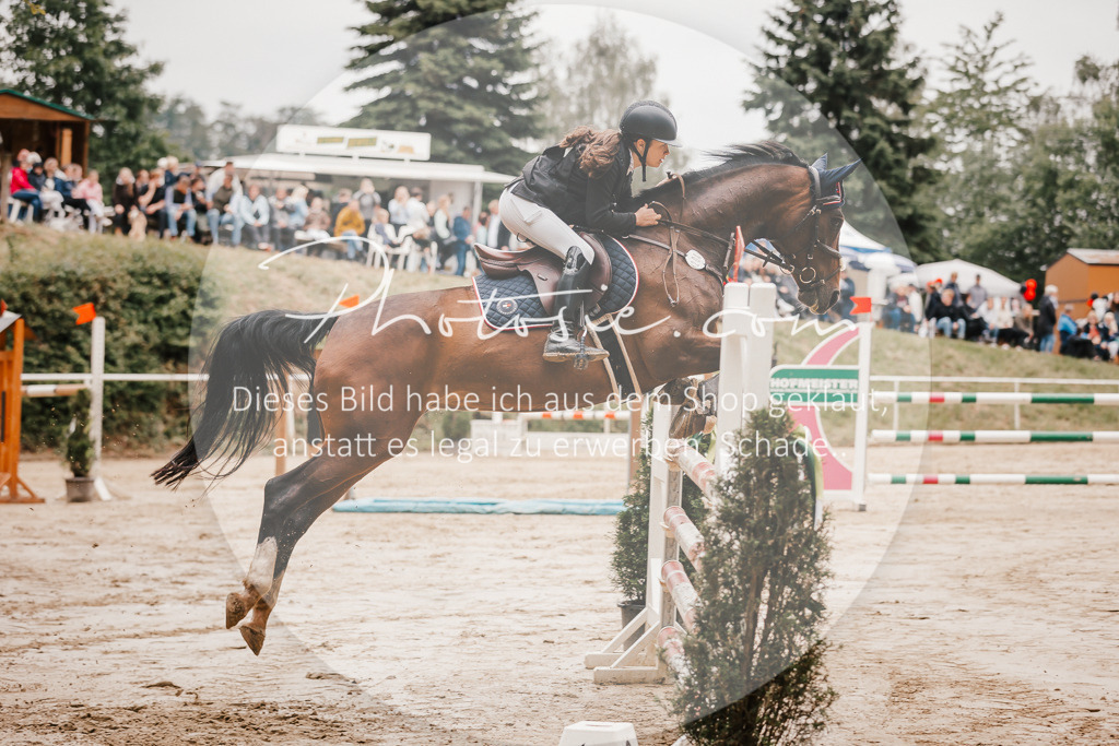 3I6A2100 | Stimmungsvolle Portraits und Reitsportfotografie im Ruhrgebiet und im Münsterland.

Pferdefotografie, Hundefotografie, Tierfotografie, Reportagen, Portraits von Tier und Mensch, Turnierfotografie in Bochum, Recklinghausen, Marl, Haltern am See, Dülmen.. - Realisiert mit Pictrs.com