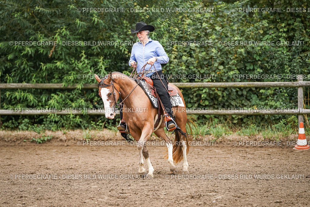 DSC02617 | Pferdegrafie