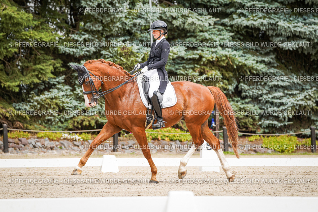 DSC05683 | Pferdegrafie