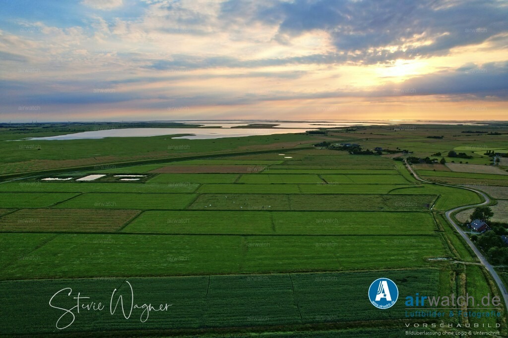 Luftbilder Hattstedtermarsch | Luftbilder, Nordsee, Nordfriesland, Hattstedtermarsch, Sterdebüll, Deichweg, Speckiweg, Seedeichgraben, Holmer See